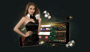 บาคาร่าเว็บตรงไม่ผ่านเอเย่นต์ เกมไพ่ที่น่าตื่นเต้น